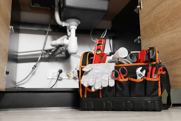 Best Drain Cleaning Services  in Pelion, SC